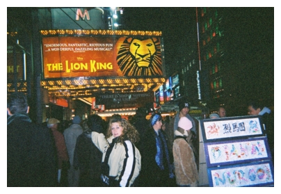 Holly at the Lion King